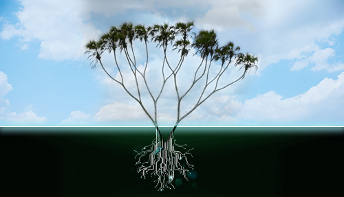 מבני נתונים מבני נתונים